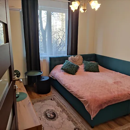 Luxury 2 Bedroom Near Steaua Stadion Apartment