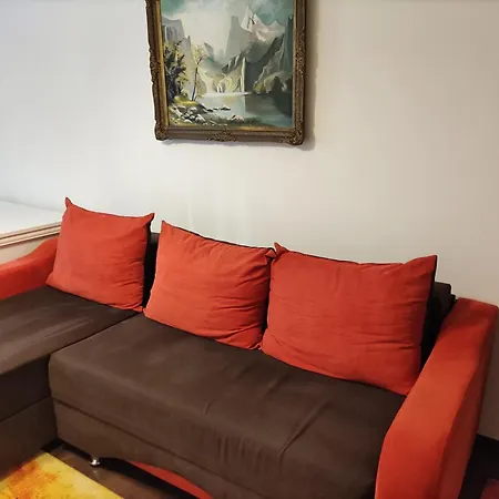 Luxury 2 Bedroom Near Steaua Stadion Apartment