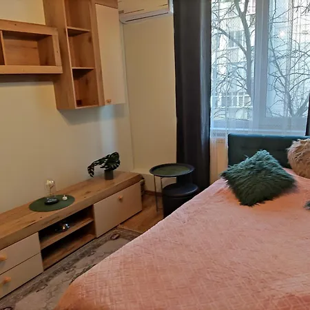 Luxury 2 Bedroom Near Steaua Stadion Bucharest