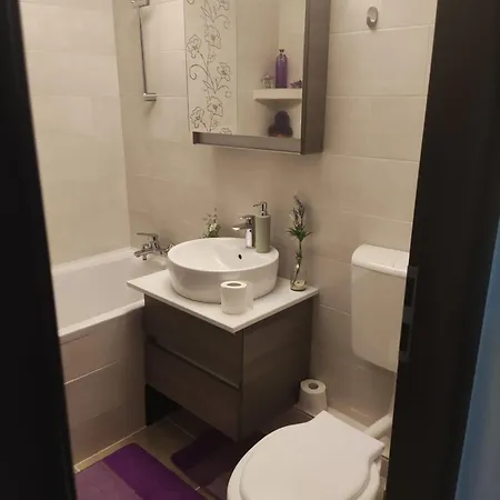 Luxury 2 Bedroom Near Steaua Stadion Apartment
