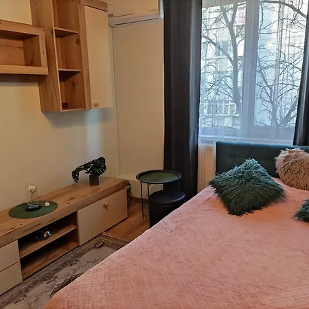 Apartment Luxury 2 Bedroom Near Steaua Stadion