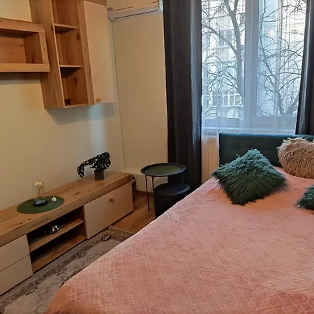 Luxury 2 Bedroom Near Steaua Stadion Bucharest