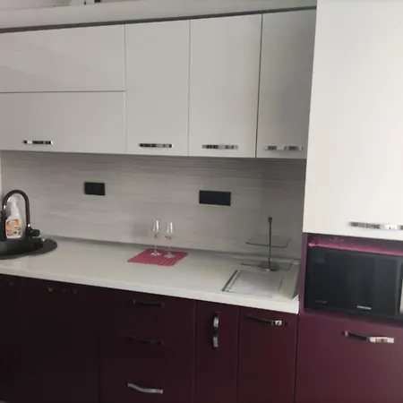 Luxury 2 Bedroom Near Steaua Stadion Apartment