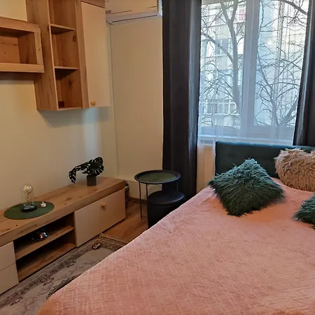 Apartment Luxury 2 Bedroom Near Steaua Stadion *